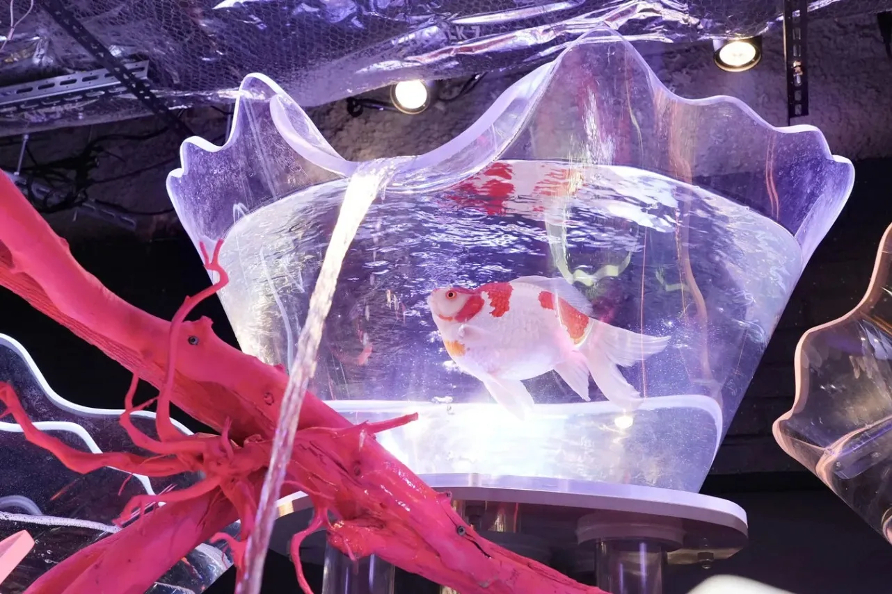 UWS AQUARIUM GA☆KYO