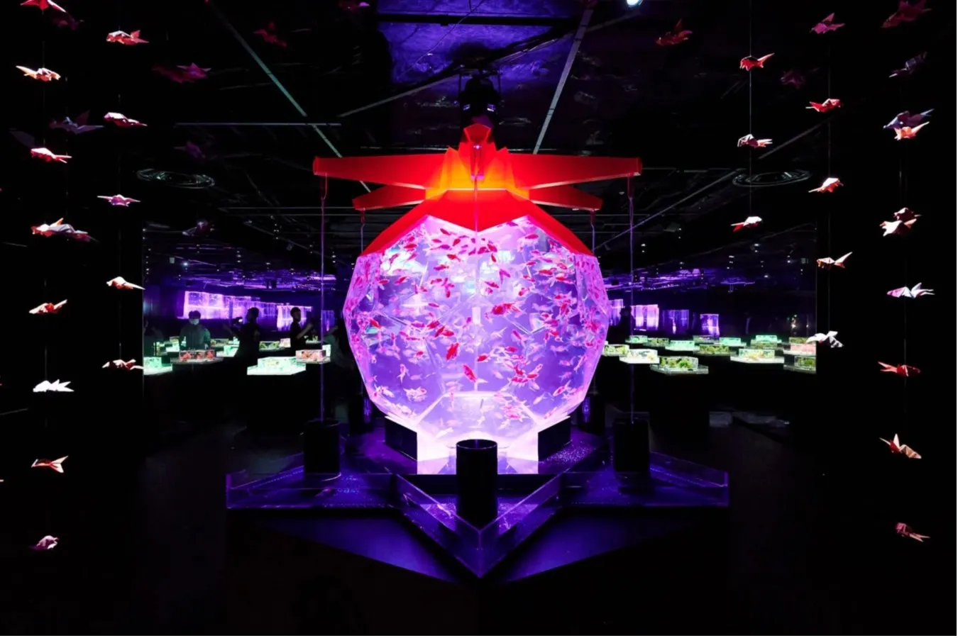 アートアクアリウム美術館 GINZA