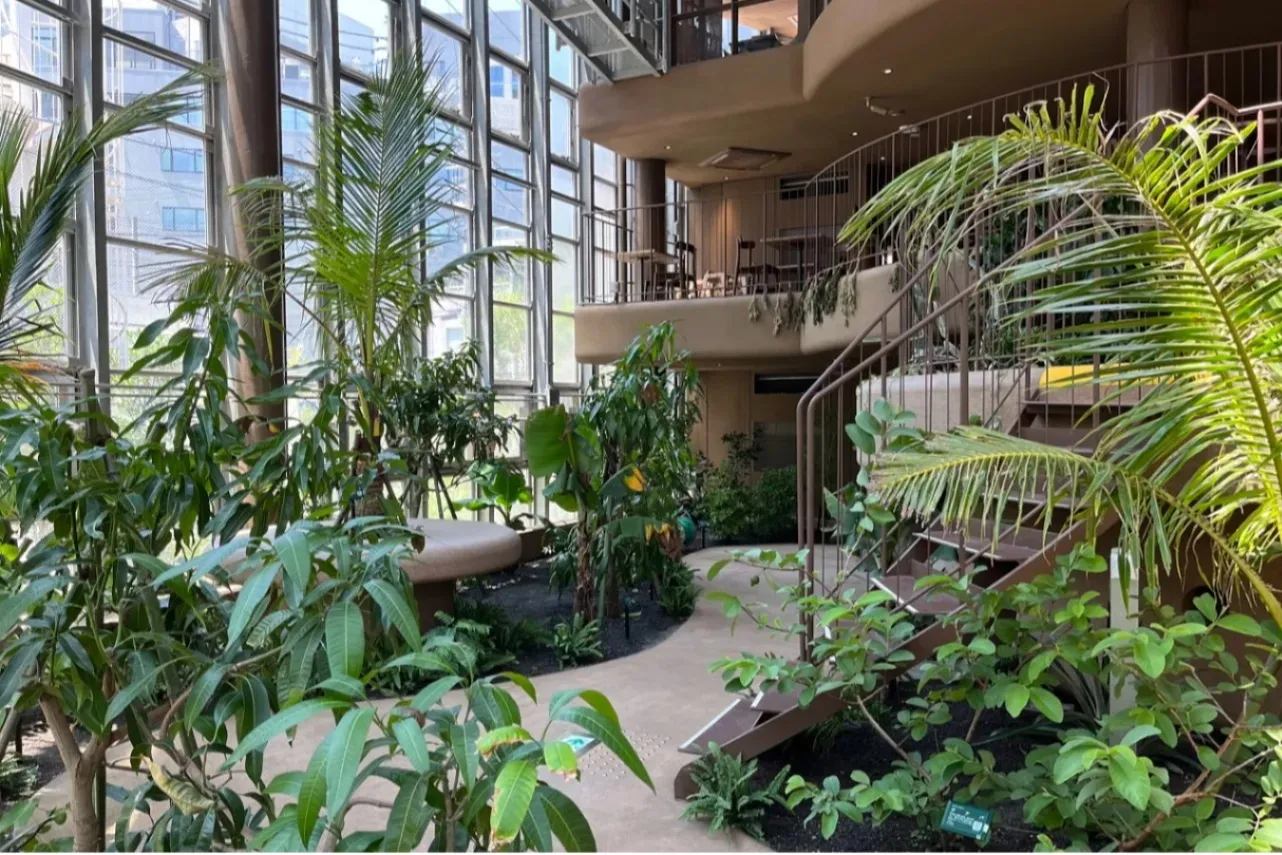渋谷区ふれあい植物センター