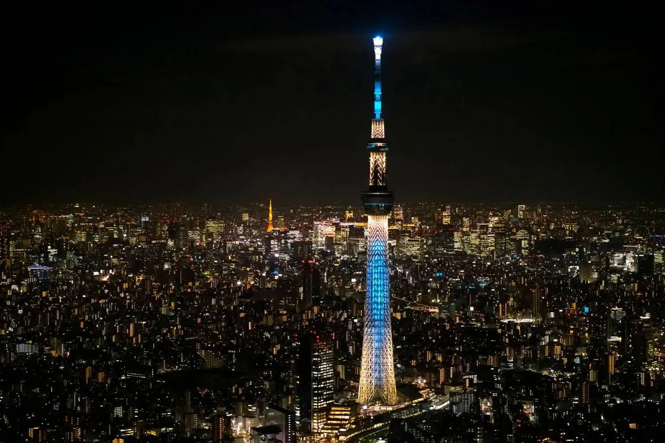 東京スカイツリー(R)