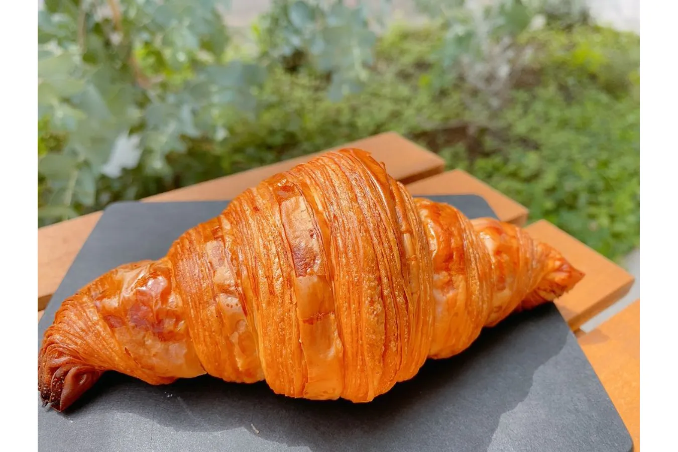 新白岡「パンシェア」旅するパンマニア・片山智香子のイチ推し。_582992