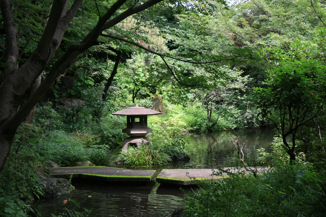 ▲日本庭園／写真提供：豊島園 庭の湯