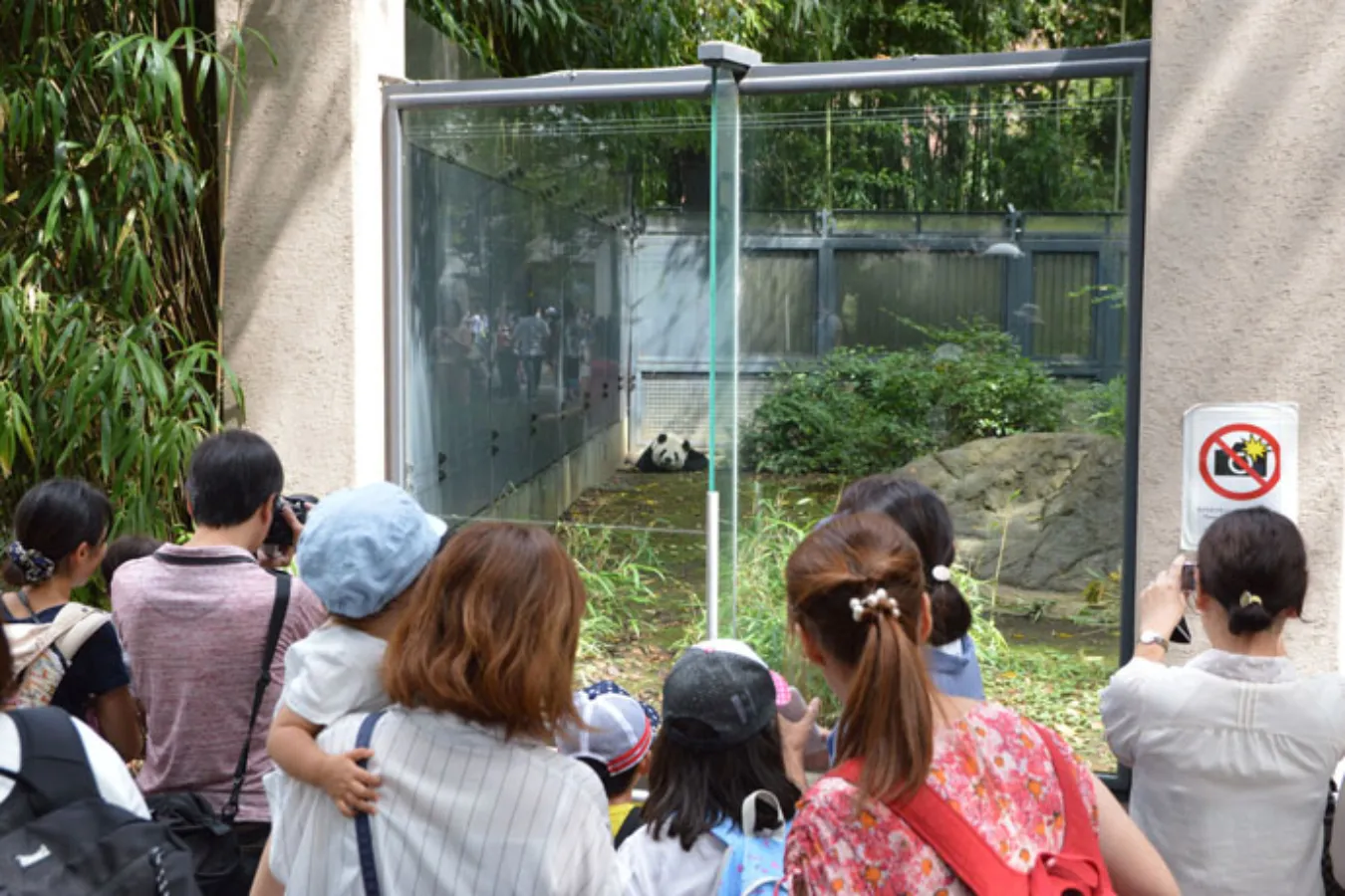 ▲上野動物園の人気者。ゴールデンウィークには2時間待ちの行列になることもあります。