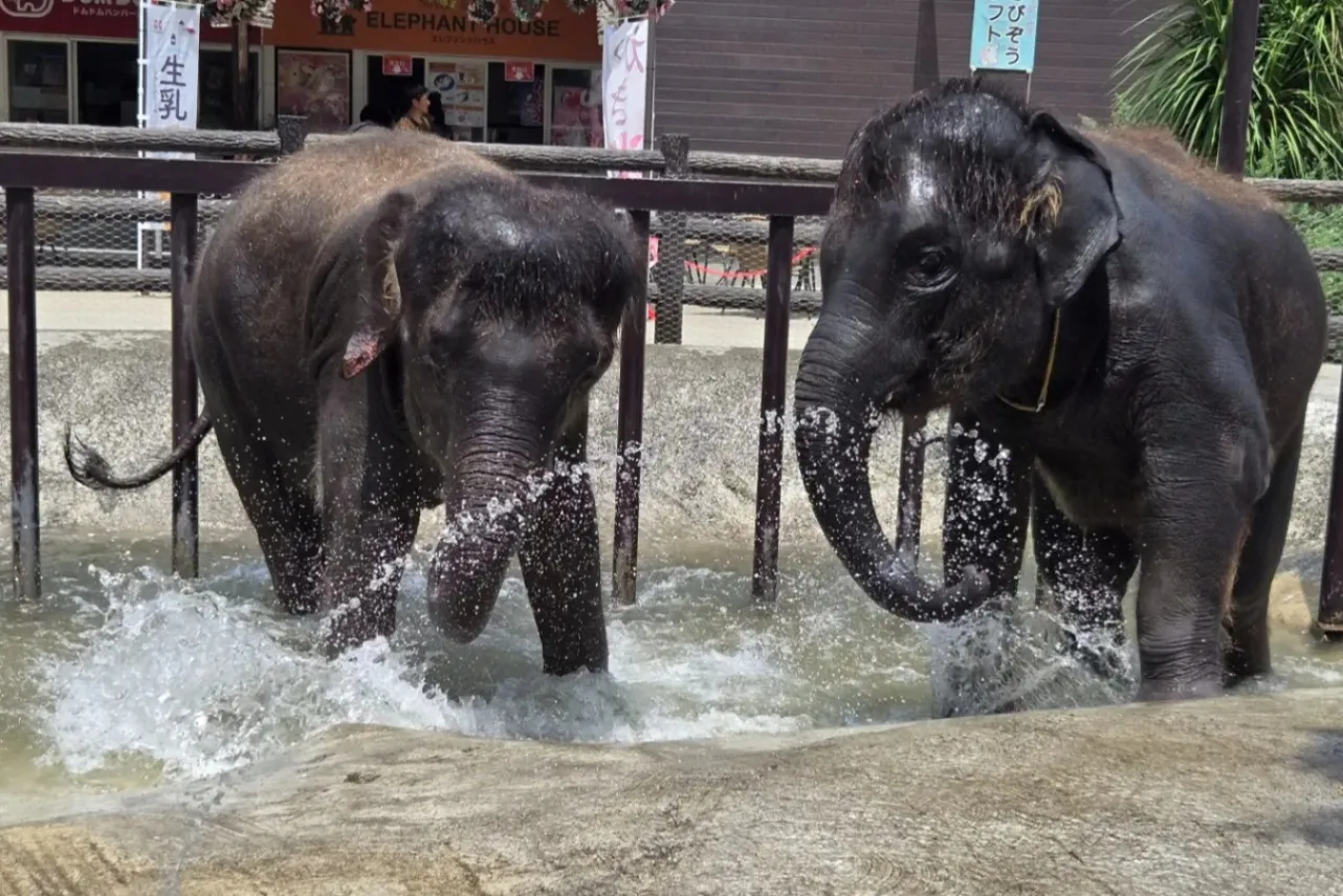 デートで行きたい！都内＆東京近郊の動物園11選_3716432