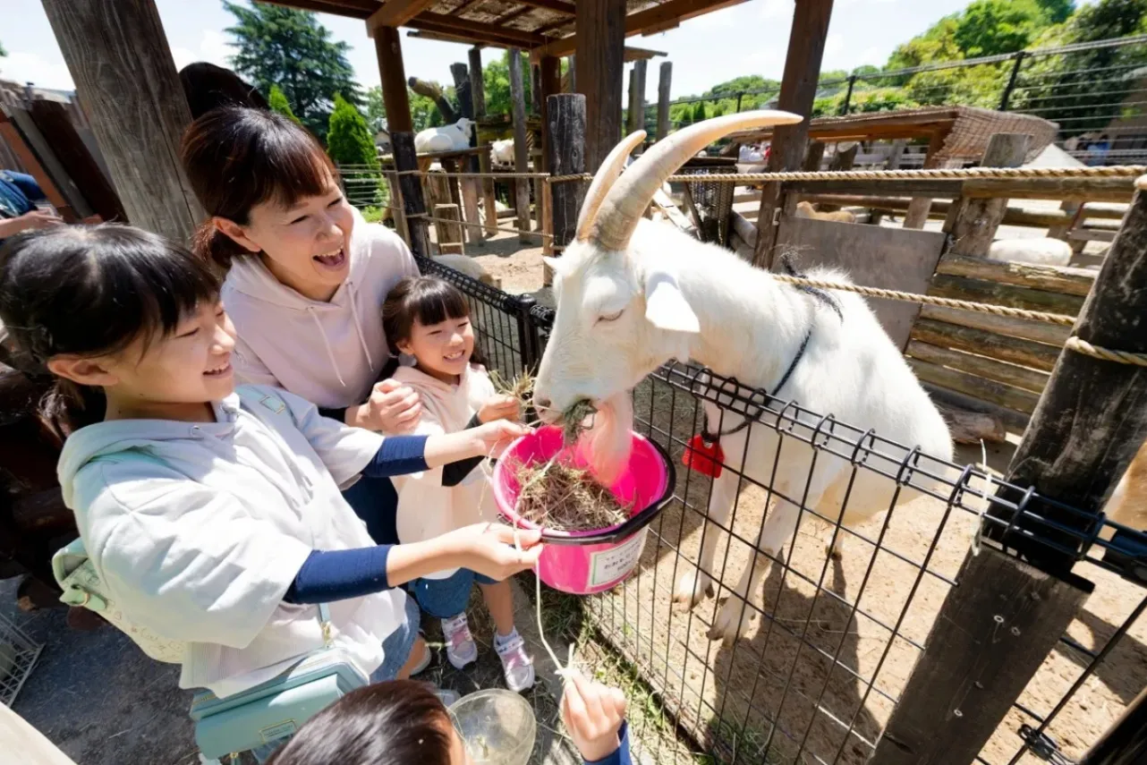 デートで行きたい！都内＆東京近郊の動物園11選_3716435