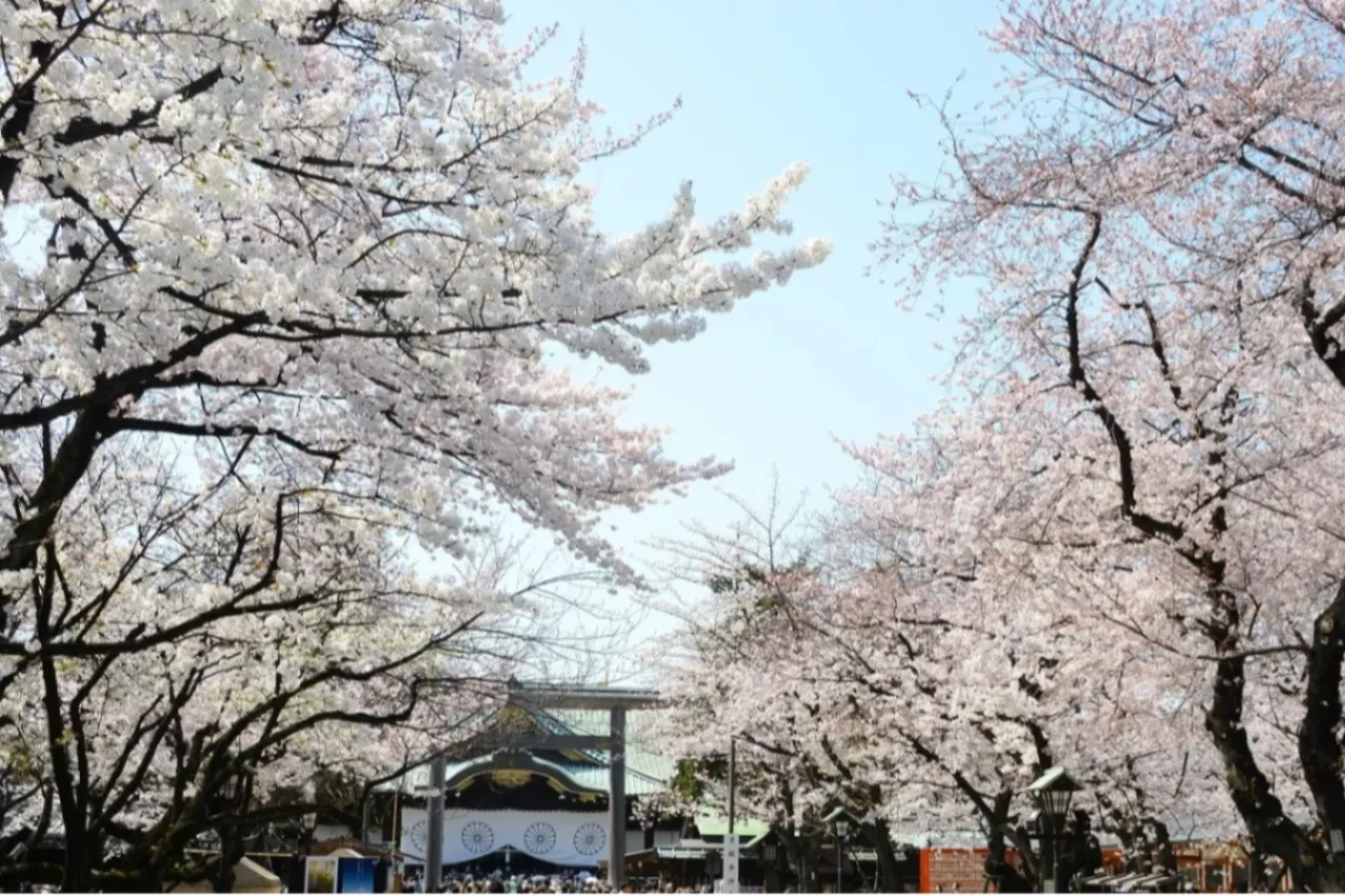 桜の御朱印も！花見シーズンに訪れたい東京の神社5選_3376243