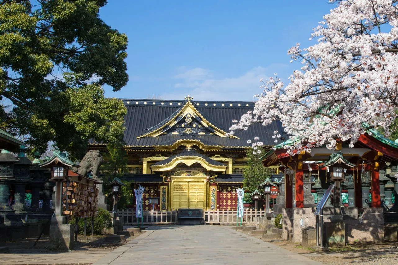 桜の御朱印も！花見シーズンに訪れたい東京の神社5選_3376246