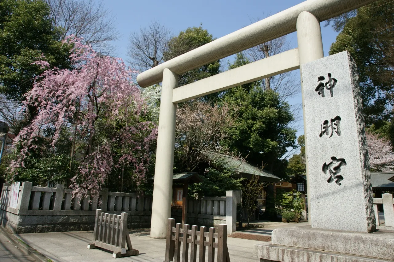 桜の御朱印も！花見シーズンに訪れたい東京の神社5選_3376255