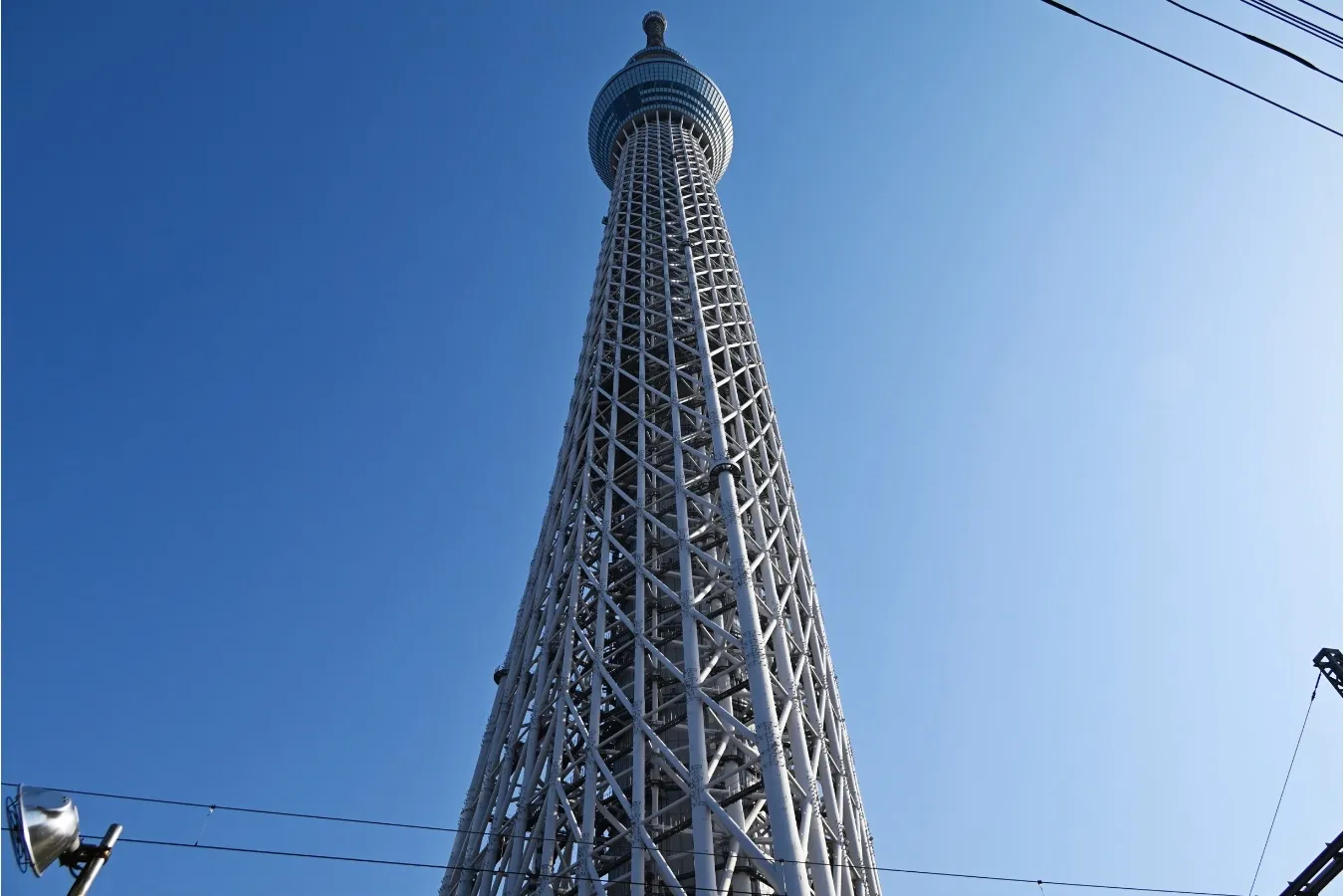 ▲左側に「そり」、右側に「むくり」が見えるアングル