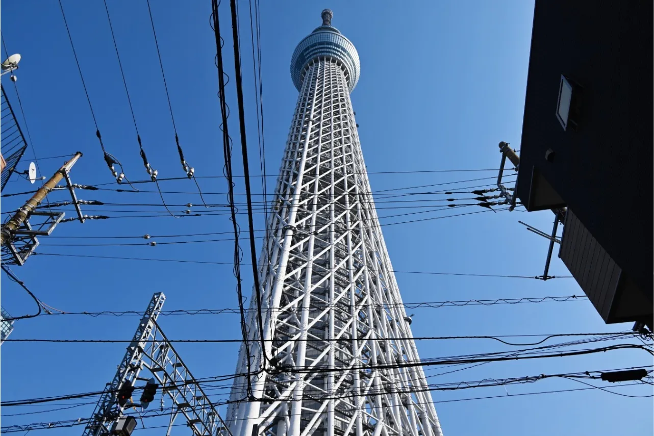 ▲左側に「むくり」、右側に「そり」が見えるアングル