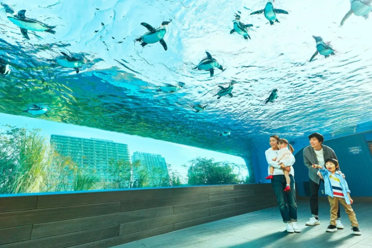 ▲サンシャイン水族館_天空のペンギン