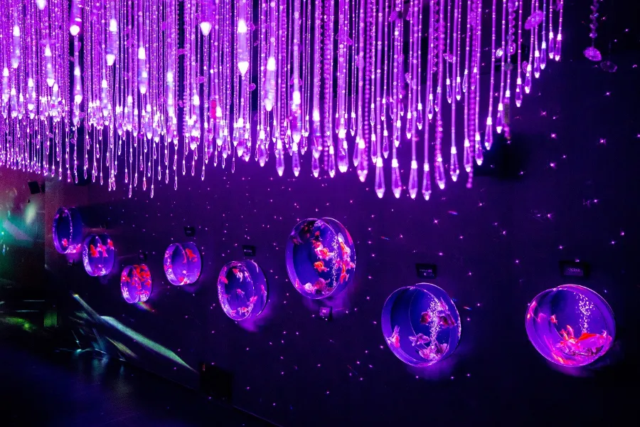 「アートアクアリウム美術館」銀座三越にオープン!_337741