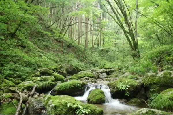関東で気軽にハイキングを楽しめる低山6選