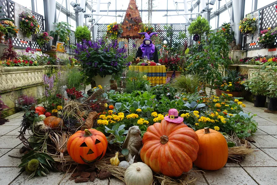 （PR）ハロウィンスポットも出現！？無料ストレッチレッスンもある「ファンケル 銀座スクエア」の秋イベントが大満足過ぎる！
