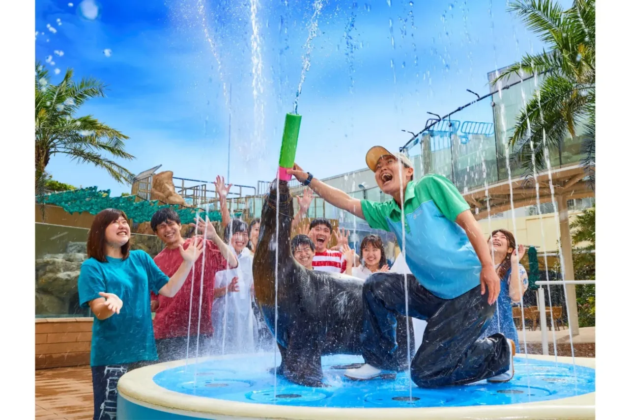 サンシャイン水族館　爽快夏まつり2026