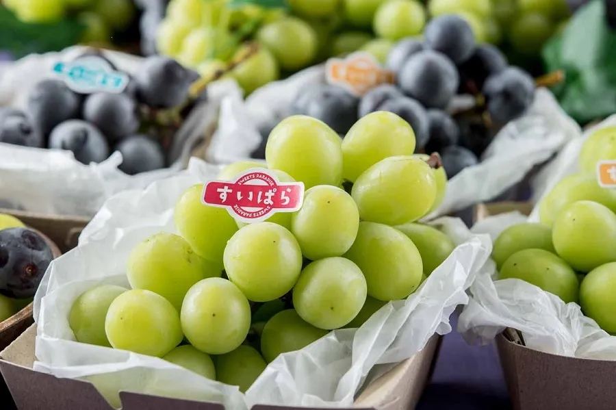 あの「高級ブドウ」もスイーツも！食べ放題1,980円の神すぎるコスパ最強イベント