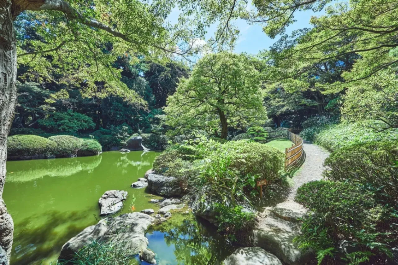 ▲東京都庭園美術館　日本庭園（画像提供：東京都庭園美術館）