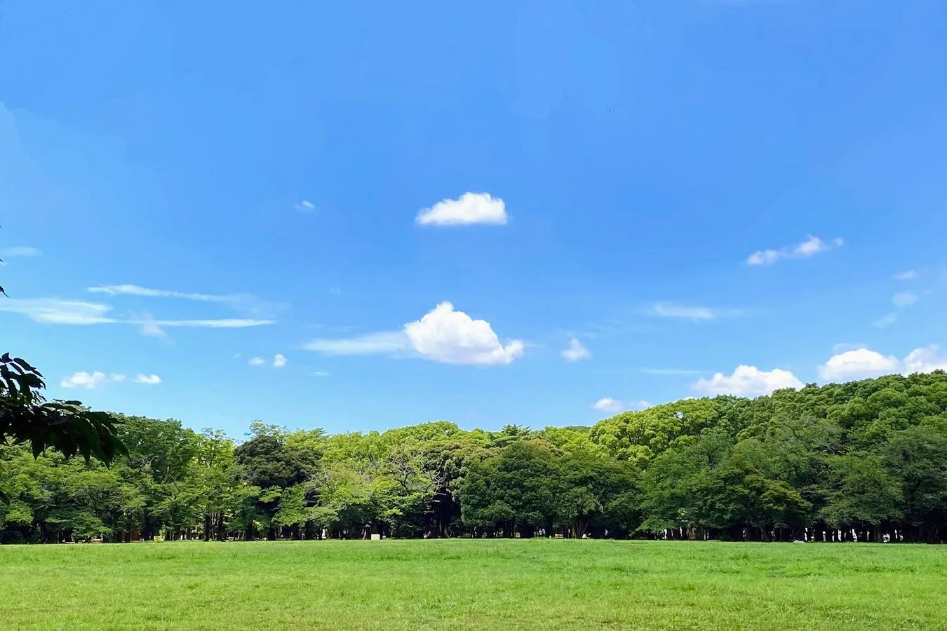 代々木公園