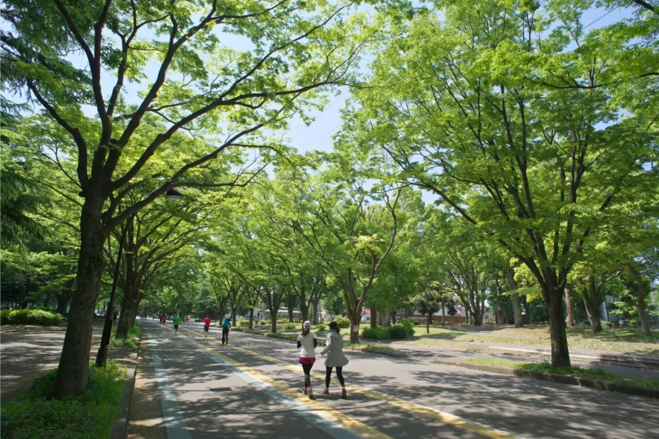 駒沢オリンピック公園