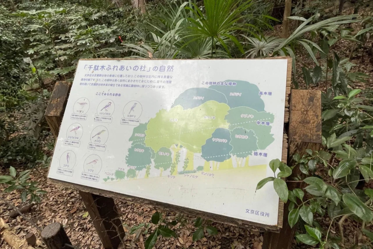 【読者投稿企画】「お気に入りの路地」第１弾エピソードを公開します！_2480278