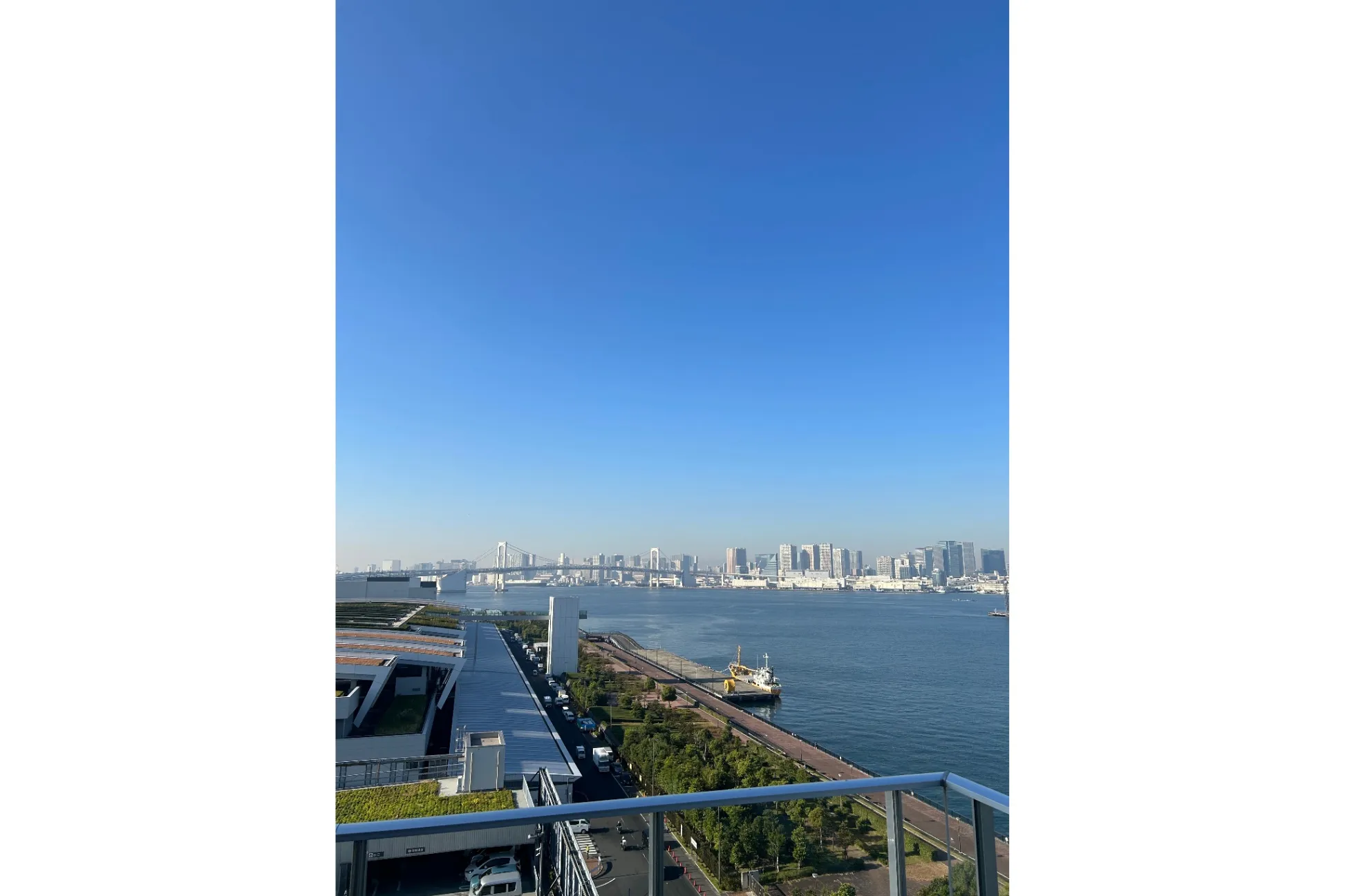 豊洲 千客万来（2026年冬号Vol.12の表紙）