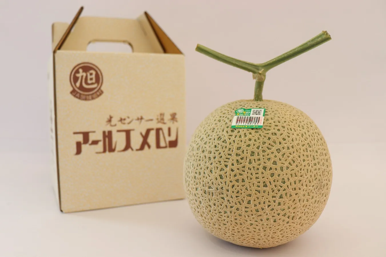 ▲鉾田市産アールスメロン。メロンは茨城県が誇るフルーツの一つ