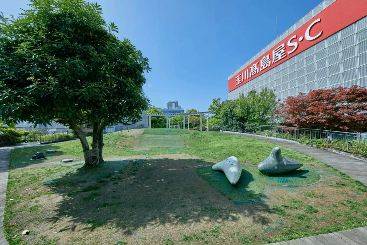 ▲本館屋上「フォレストガーデン」