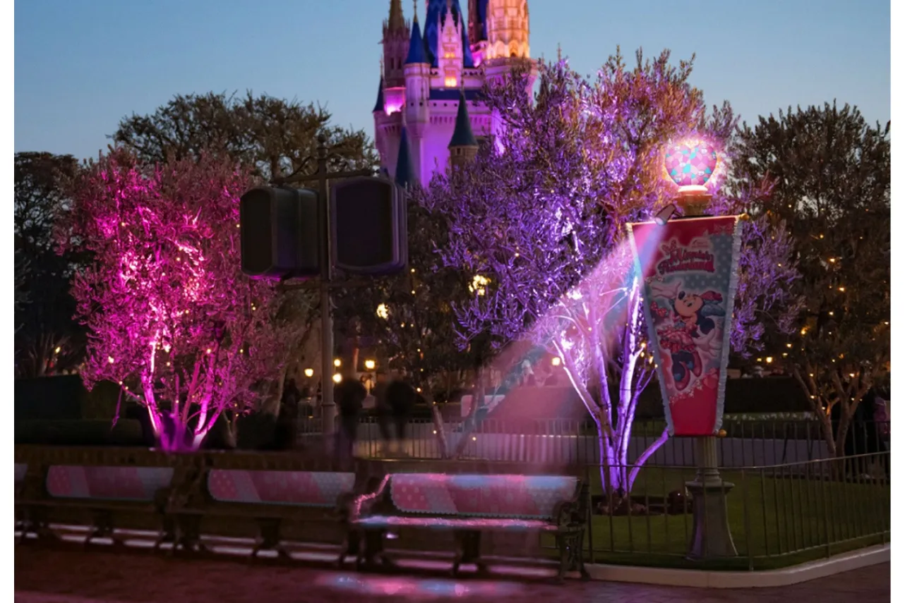（C）Disney