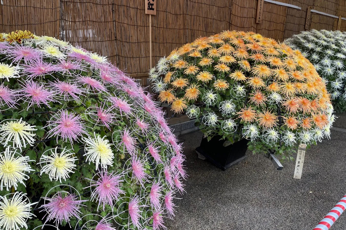 ▲写真提供：文京区