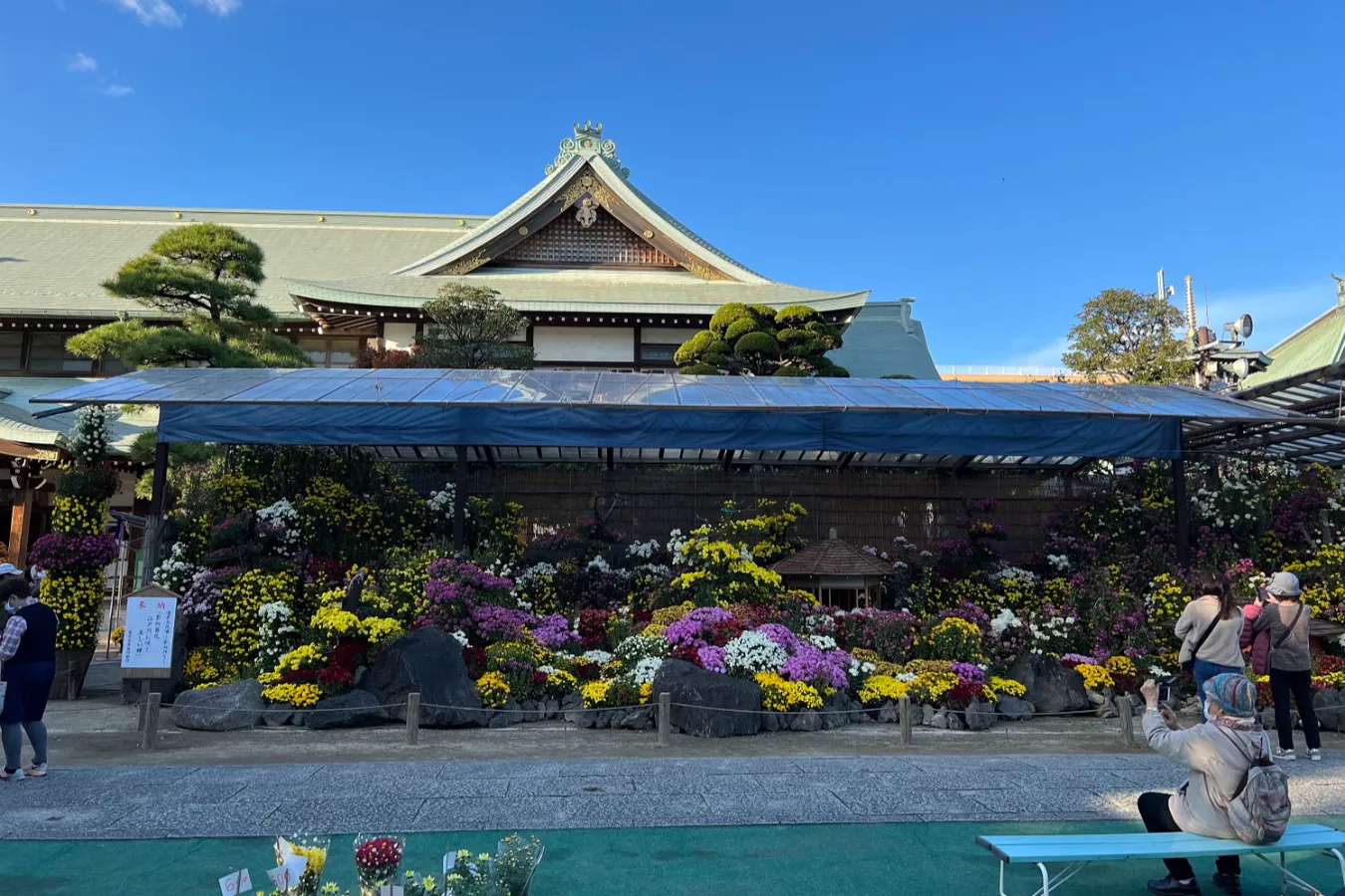 【東京】有名な菊花展・菊まつり4選_2899185