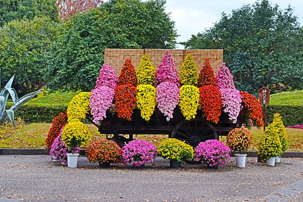 ▲「神代花車」