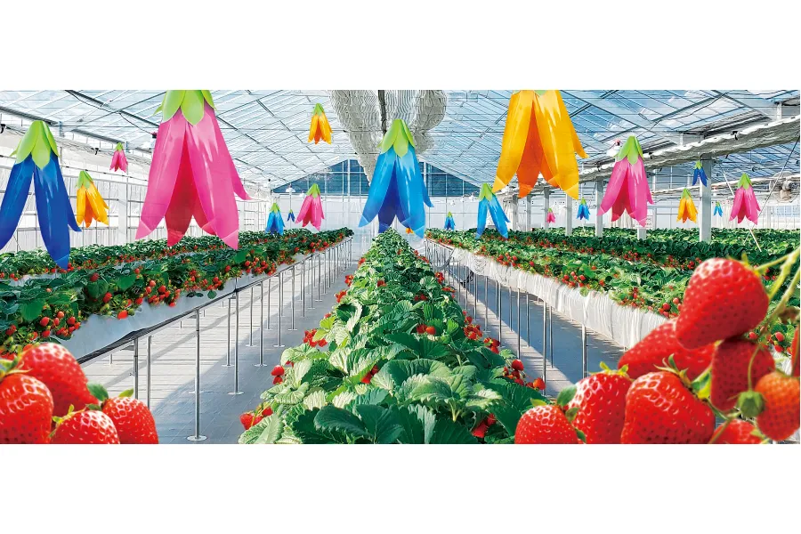 千葉「京成バラ園」内に初のいちご狩り施設オープン