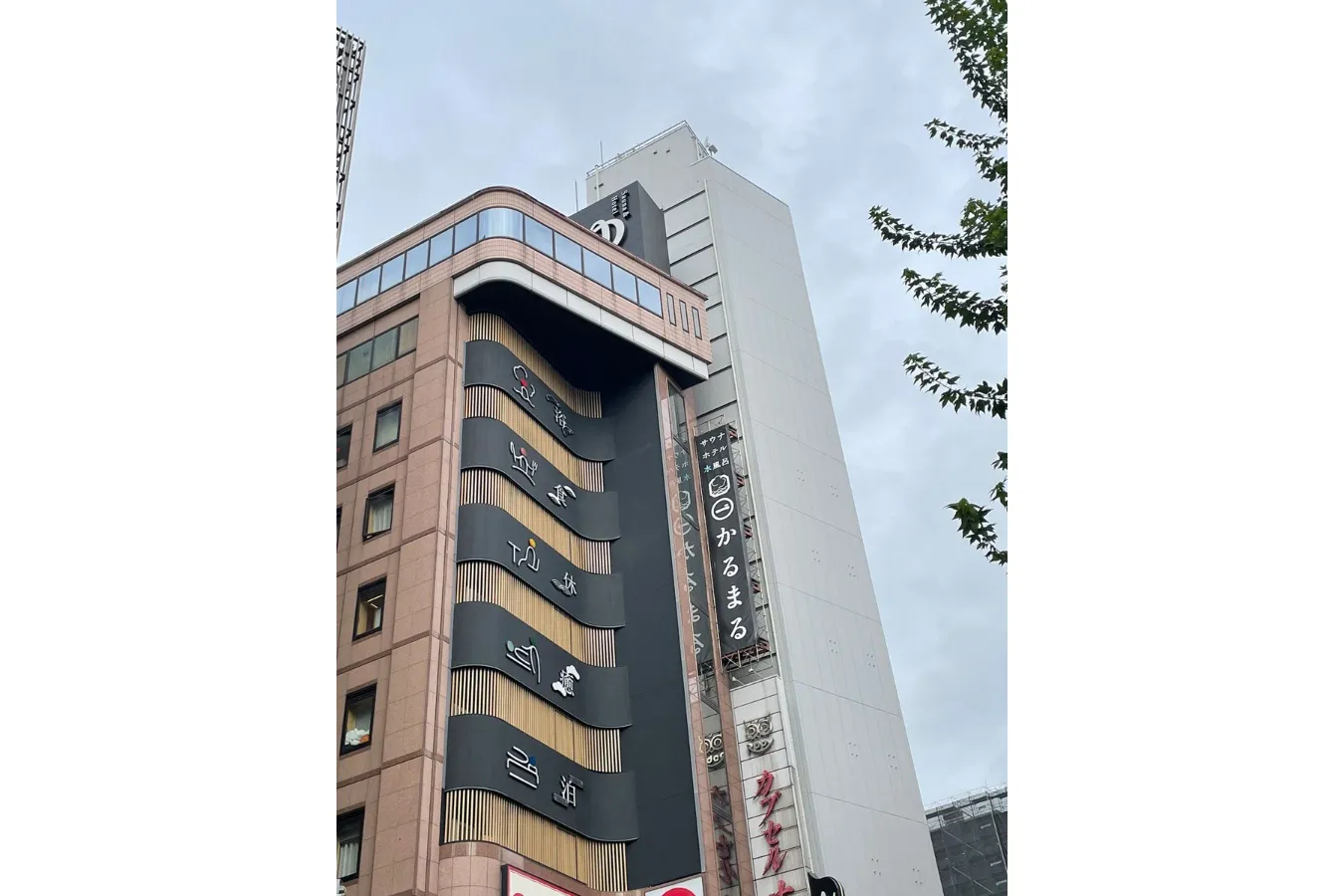 ▲写真提供：かるまる 池袋（Photo by Nacasa & Partners）