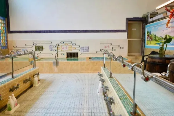 【西小山】おひとり様用サウナも！話題の銭湯「東京浴場」レポ