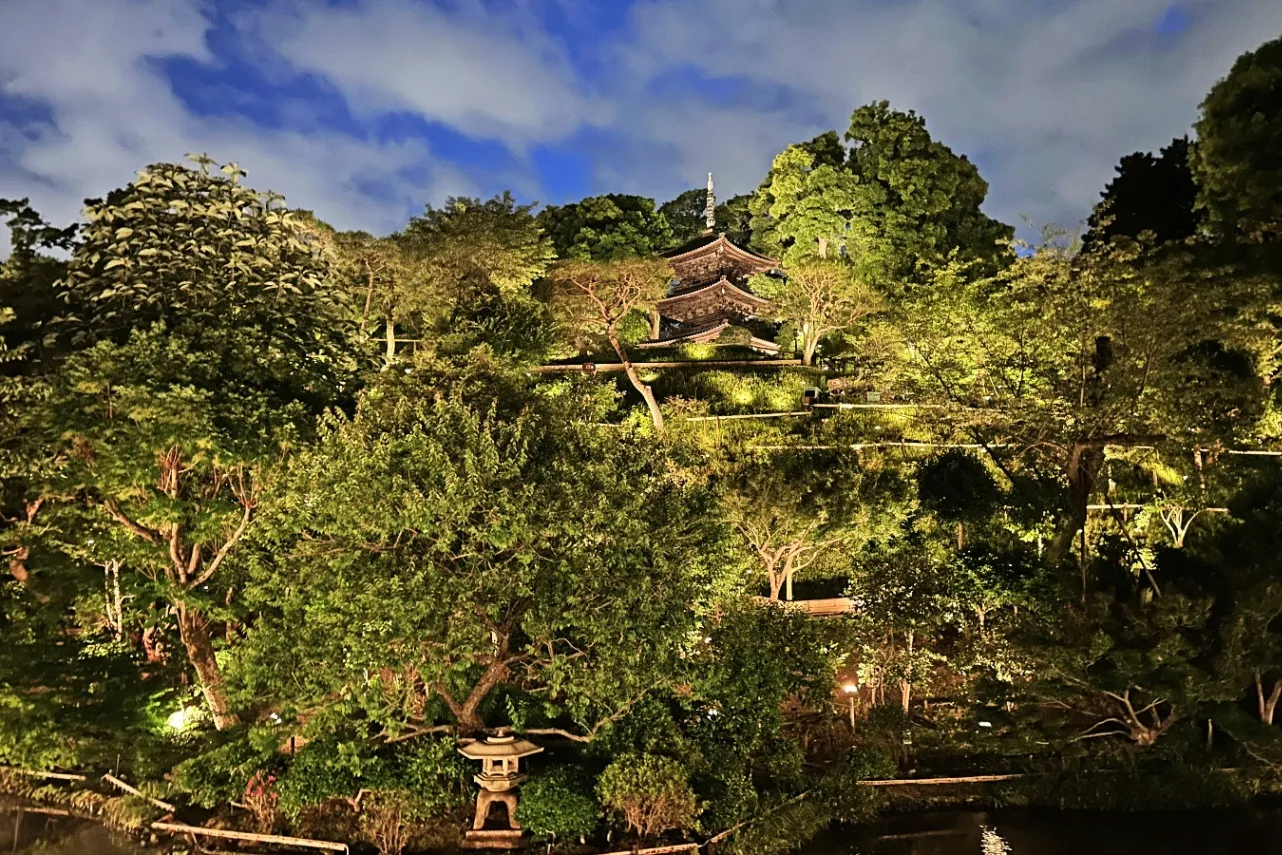 ▲ライトアップされた庭園（撮影：レッツエンジョイ東京編集部）