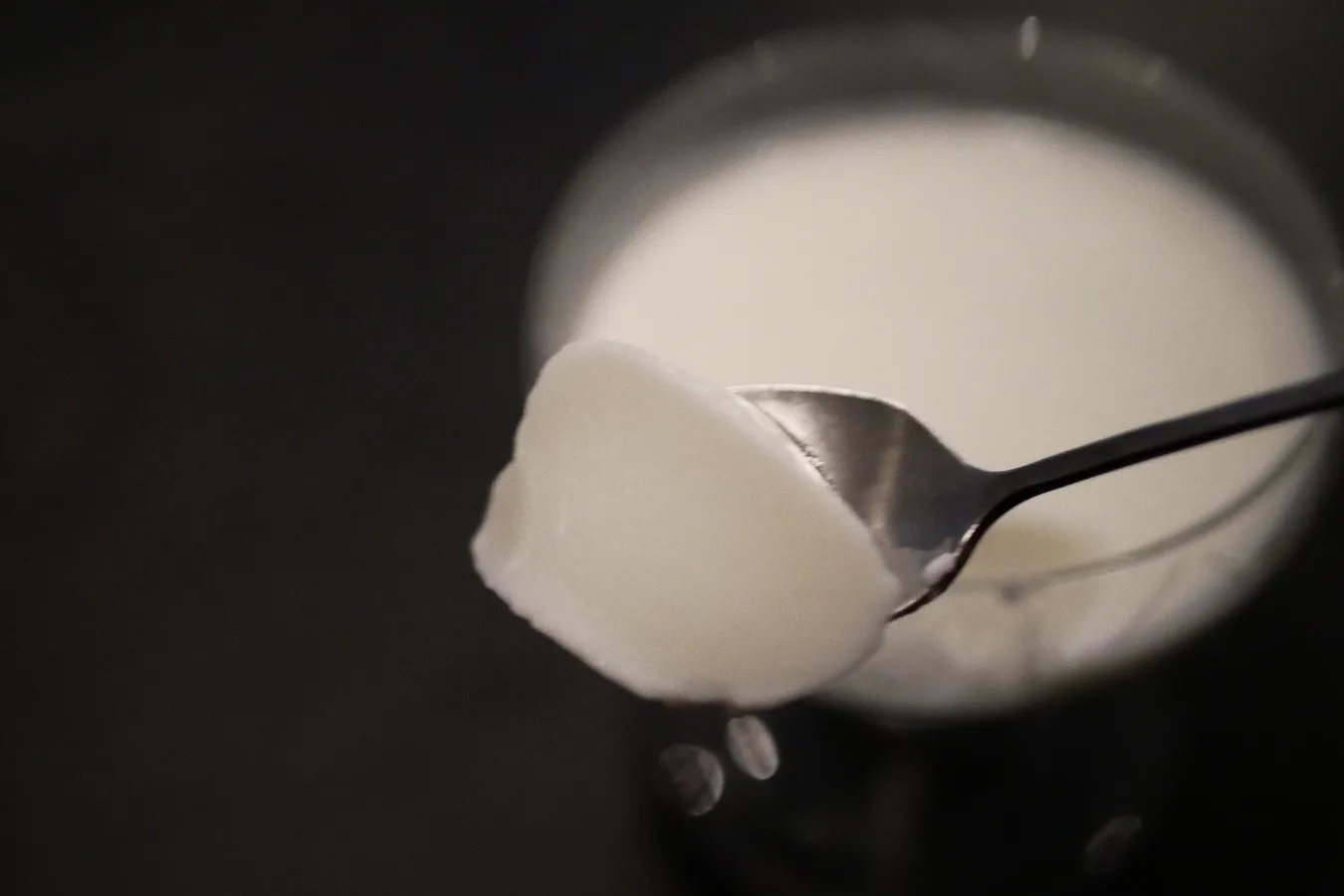 お茶の概念が覆る、唯一無二の和空間！大注目の盆栽カフェ南青山「松葉屋茶寮」_1558914