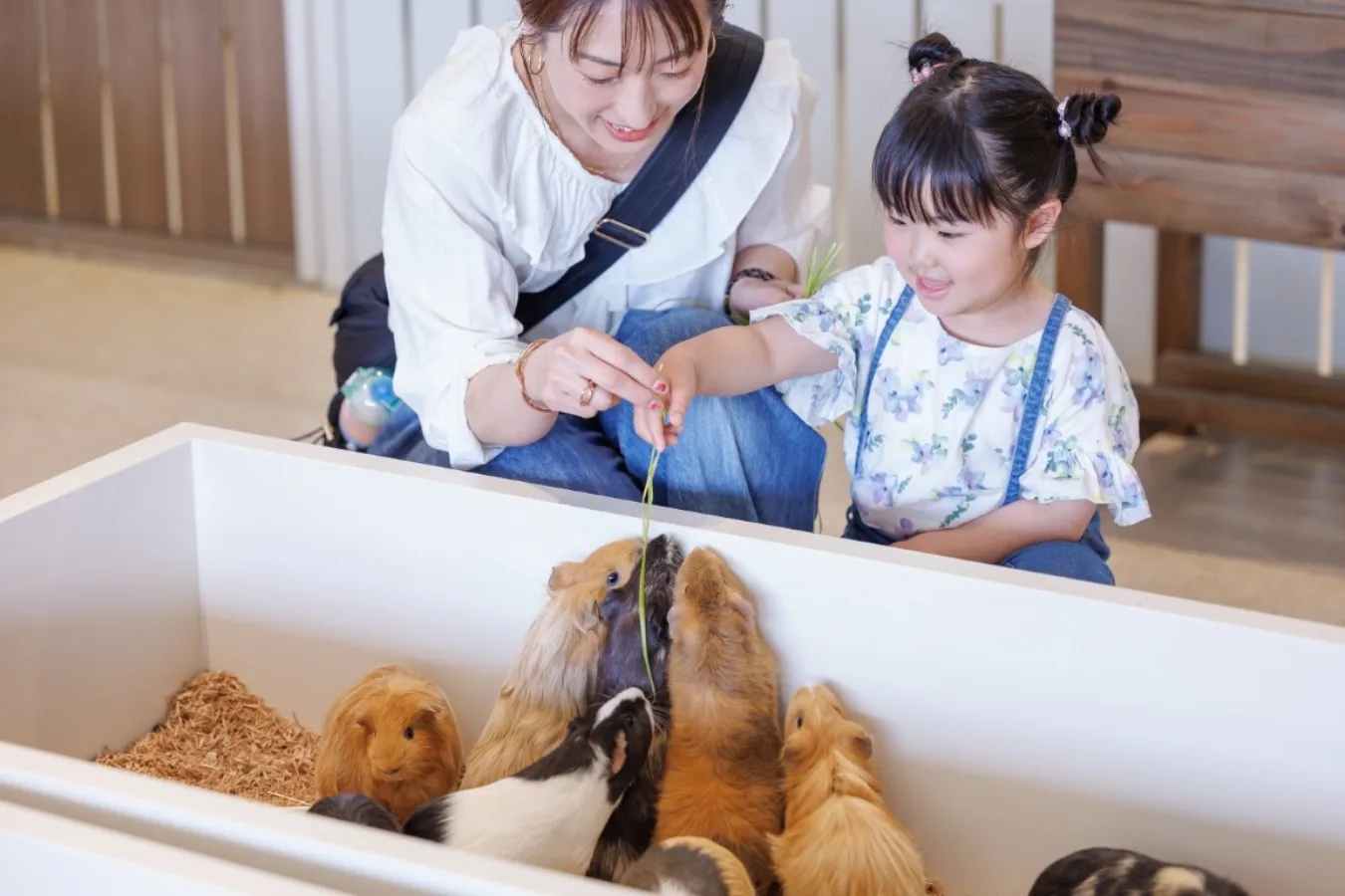 都内最大級！屋内型ふれあい動物園「アニタッチ東京ドームシティ」オープン_1665818