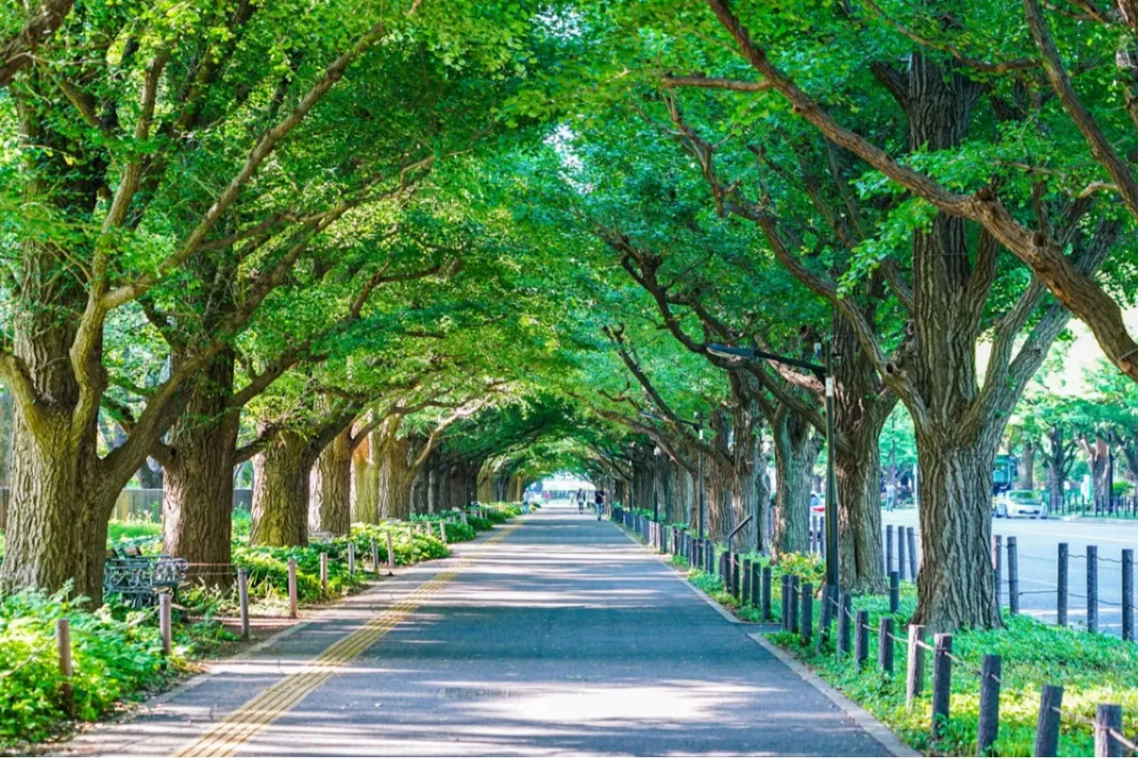 外苑前の定番を巡る。大人のための「半日お散歩コース」_3023743