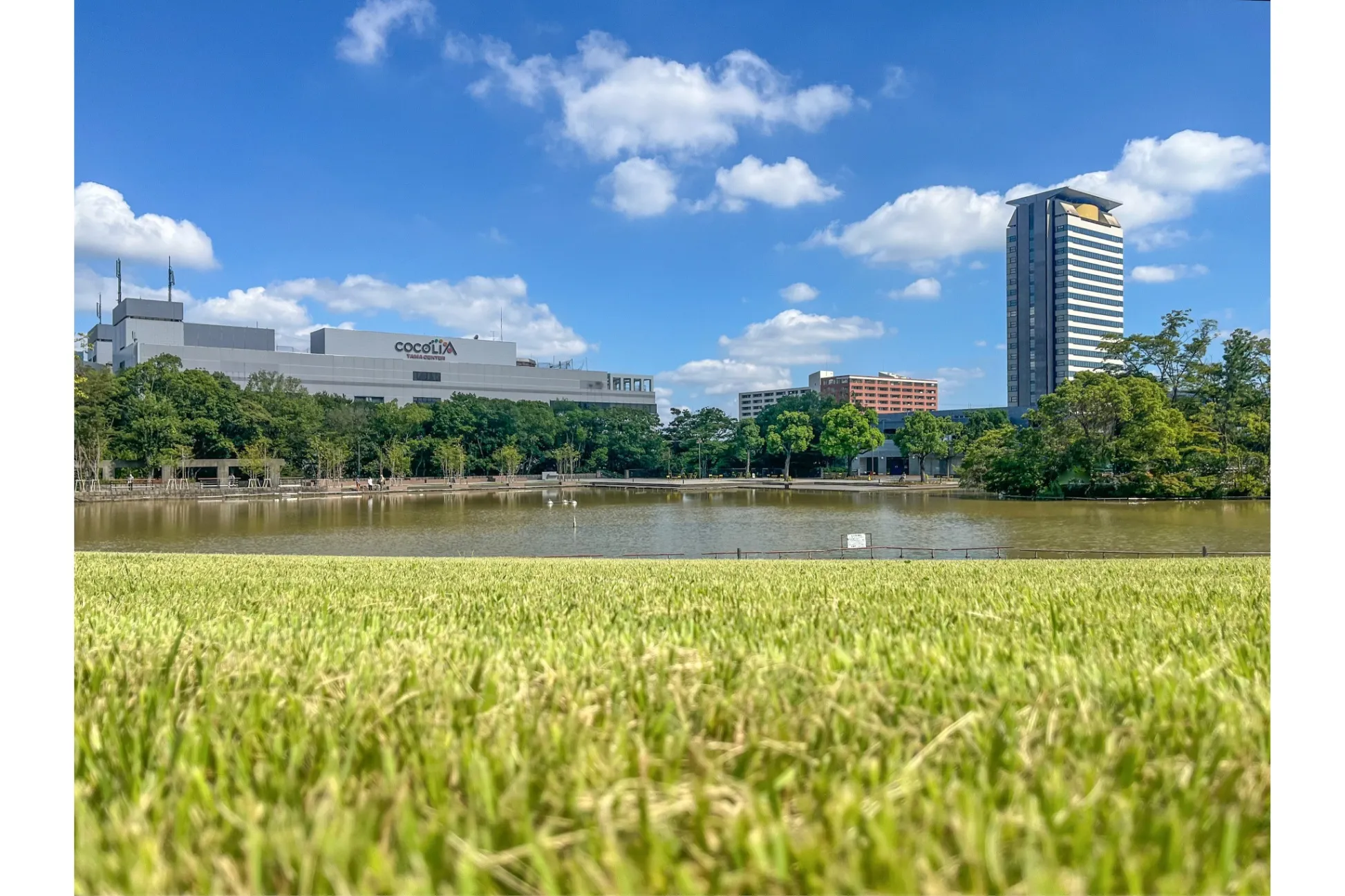 「多摩中央公園」大規模改修を経てグランドオープン！新たにレストラン＆カフェも併設