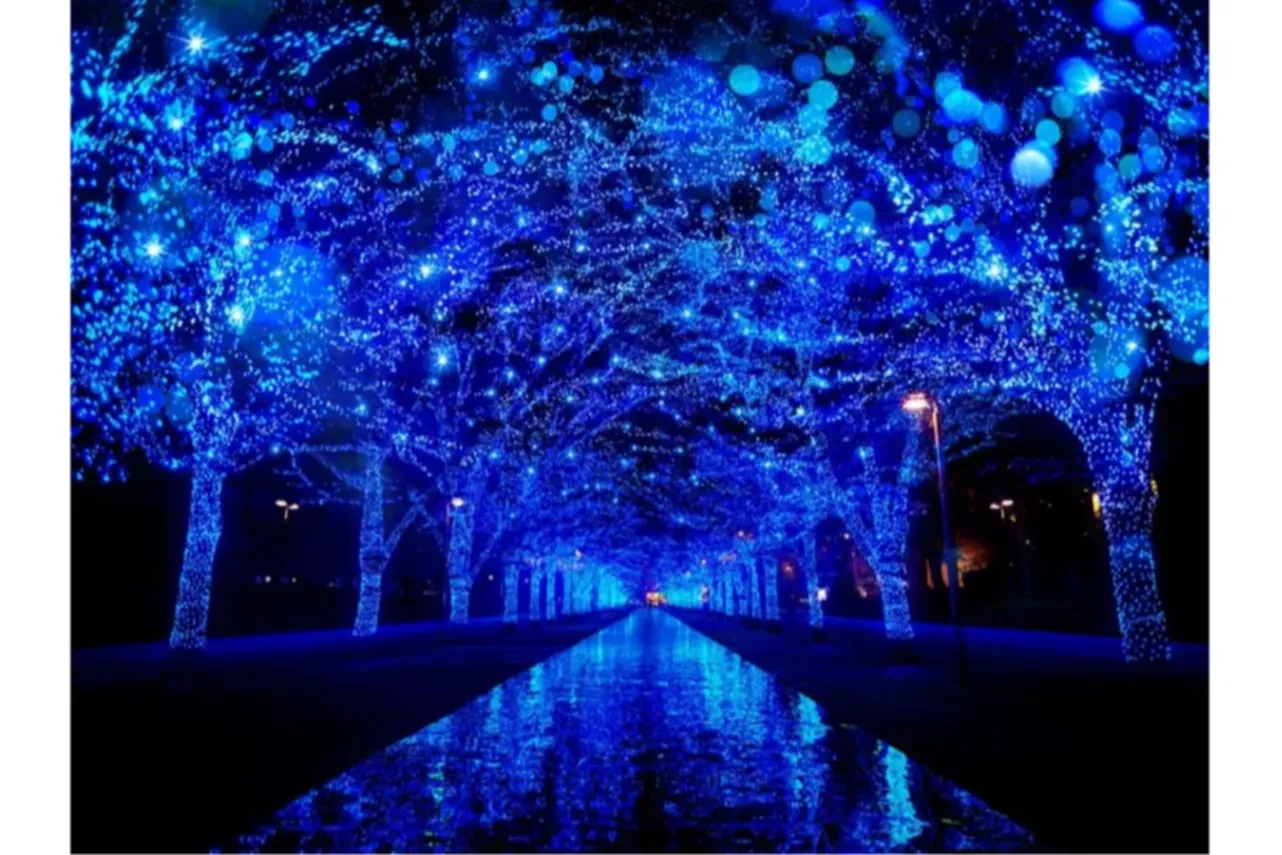 ▲過去開催時の様子