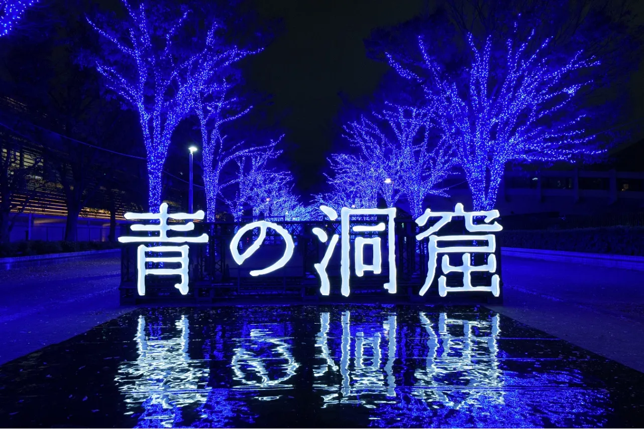 代々木公園のイルミネーション「青の洞窟 SHIBUYA」完全解説！混雑状況や立ち寄りスポットも【2025】_3151054