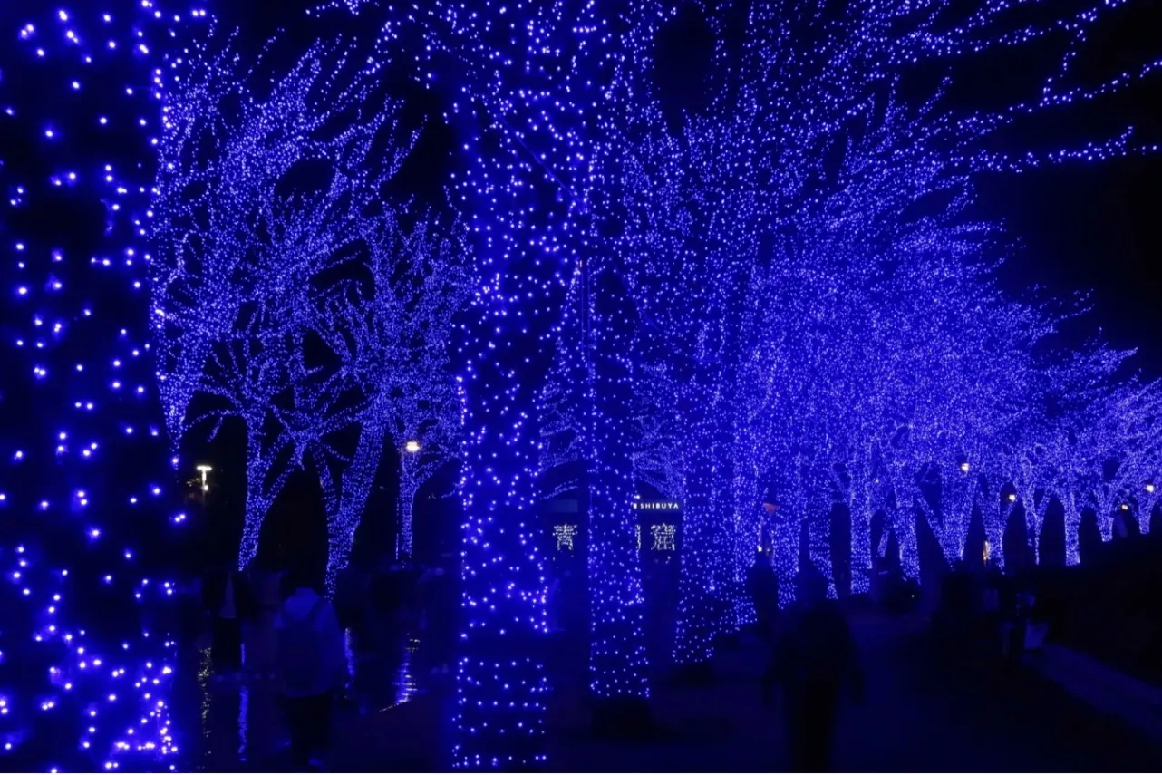 ▲過去開催時の様子