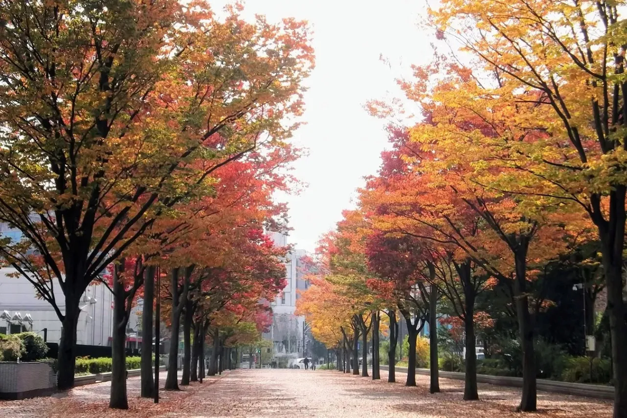 ▲画像提供：公益財団法人東京都公園協会