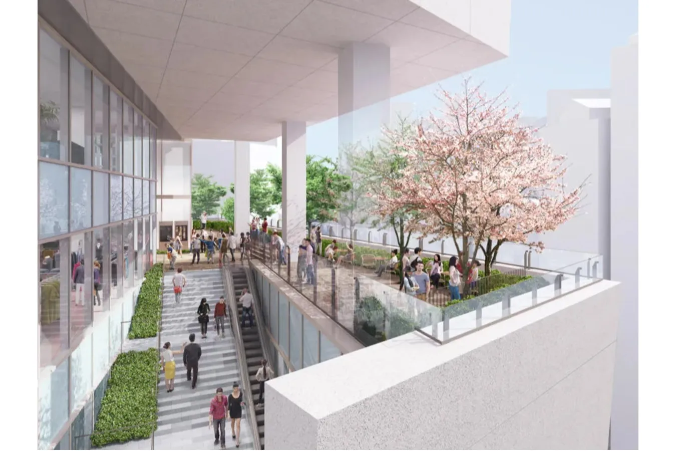 代々木公園のイルミネーション「青の洞窟 SHIBUYA」完全解説！混雑状況や立ち寄りスポットも【2025】_3151063