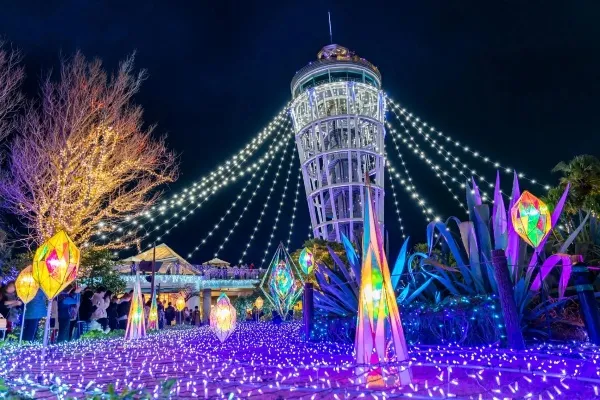 江の島のイルミネーション「湘南の宝石2025-2026」の魅力と楽しみ方