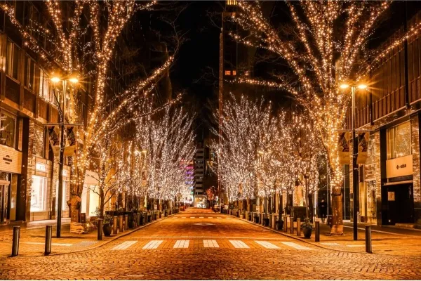 冬デートの大定番！東京のイルミネーションデート11選【2025～2026】