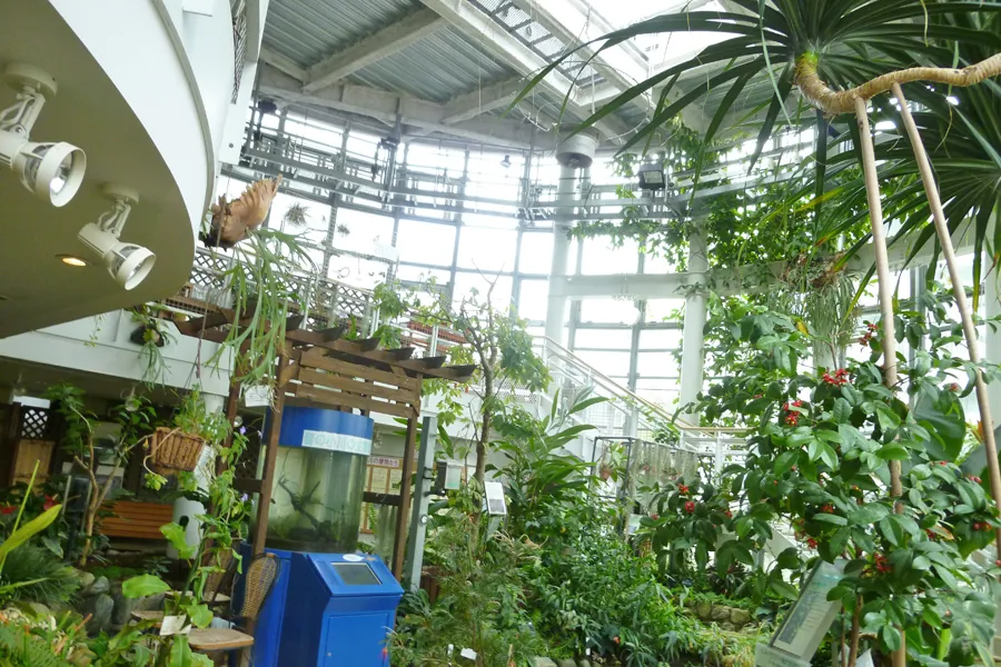 【渋谷】たった100円で入れる植物園も！「無料～1,000円以下」で楽しめるコスパ最強デートスポット4選