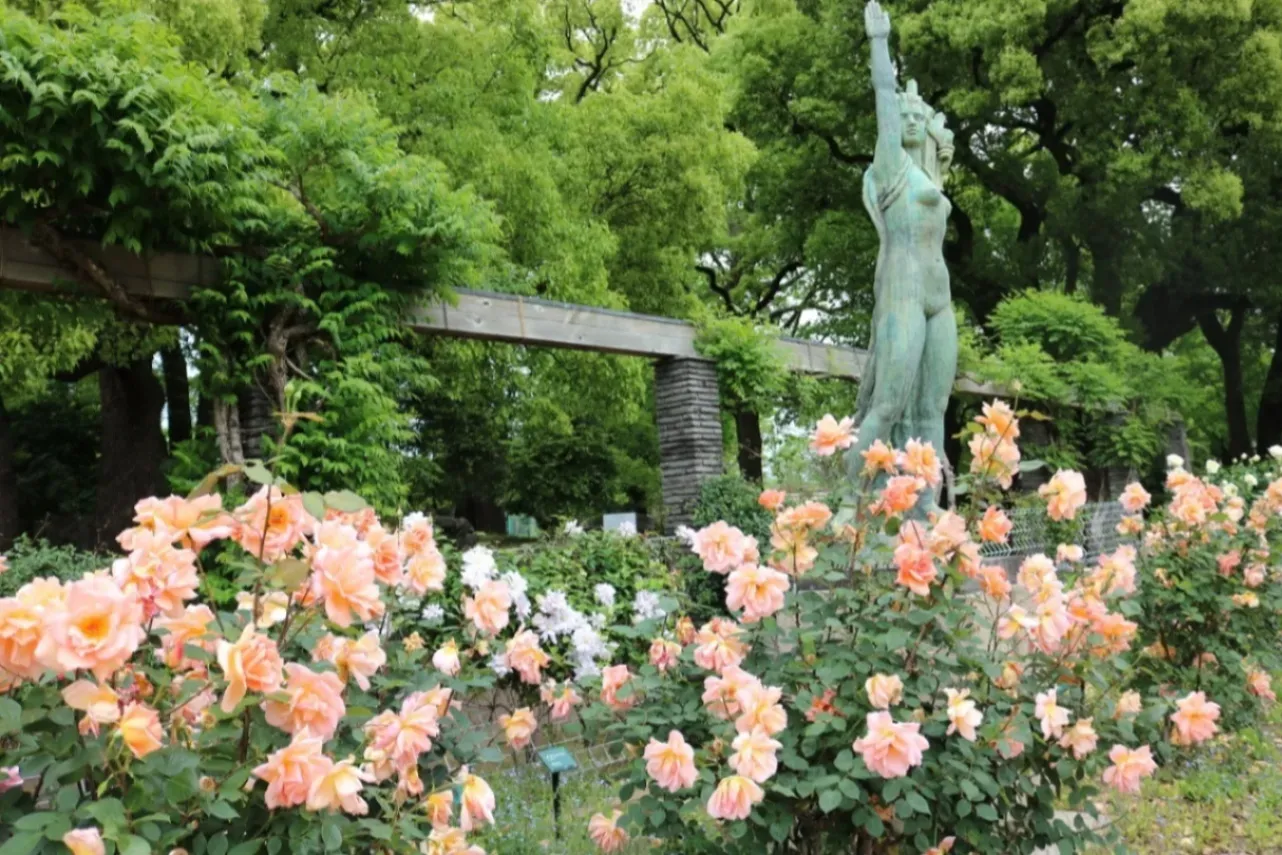 ▲5～6月に見ごろ迎えるバラ（画像提供：公益財団法人東京都公園協会）