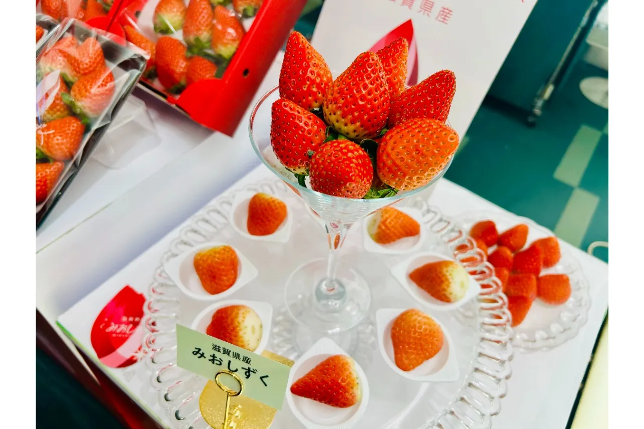 ▲滋賀県産「みおしずく」