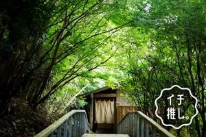 【箱根湯本】森の中の別荘「箱根リトリートföre」ホテル暮らしOL・やよぴのイチ推し。